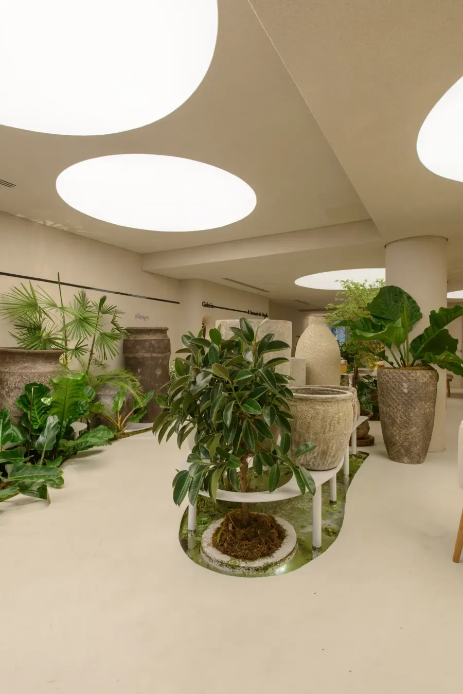 Casa Organne — projeto de iluminação da WeLight, foto 9