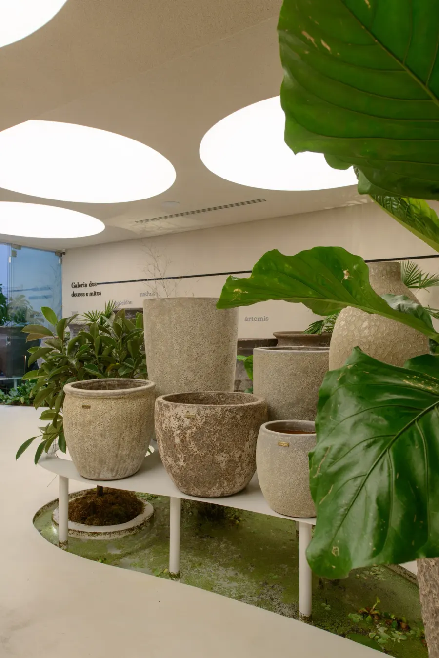 Casa Organne — projeto de iluminação da WeLight, foto 16