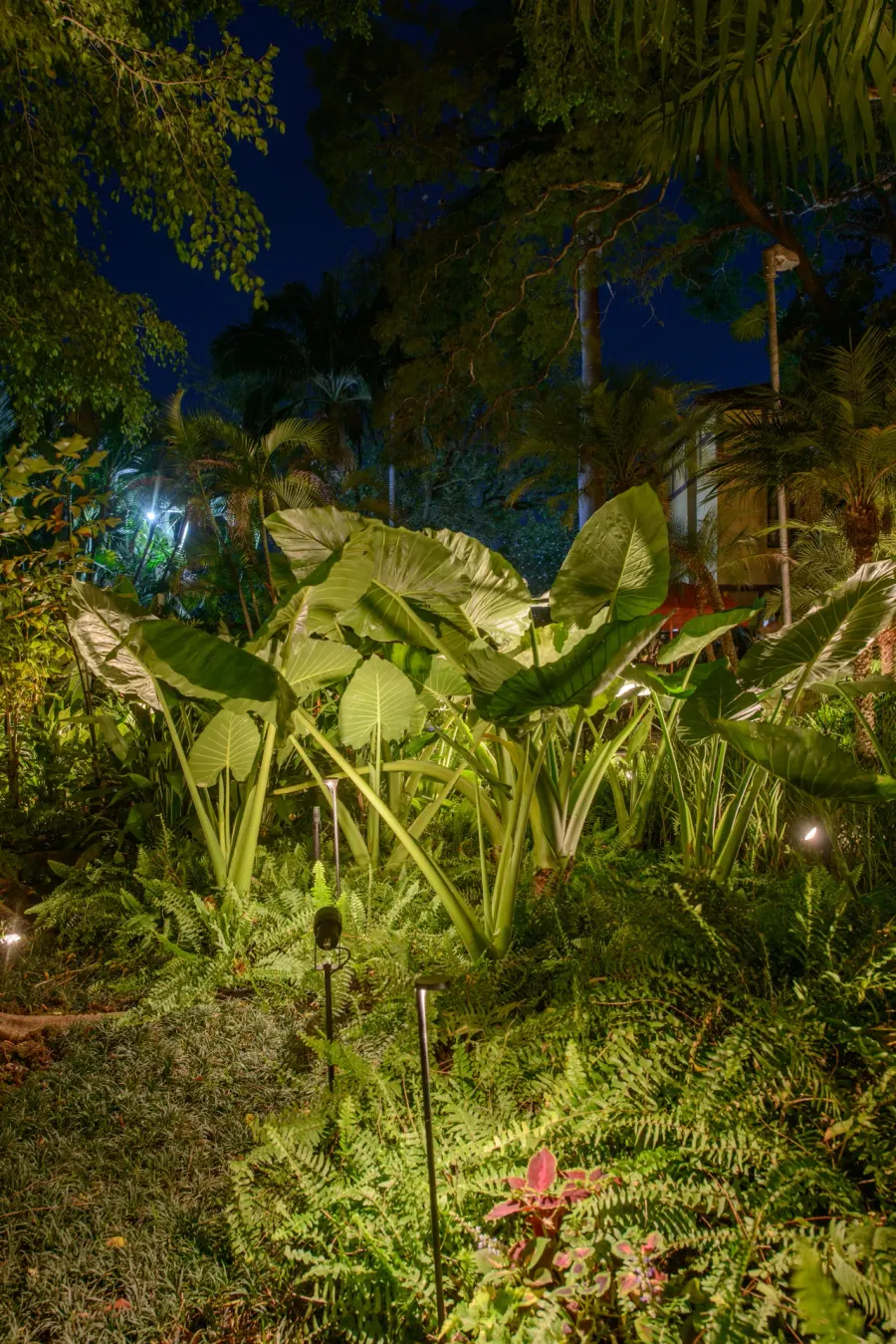 Casacor SP 2025 — projeto de iluminação da WeLight, foto 23